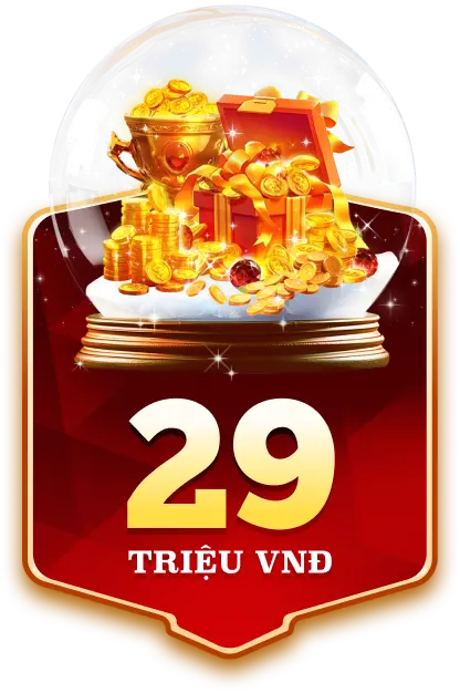29 triệu đồng