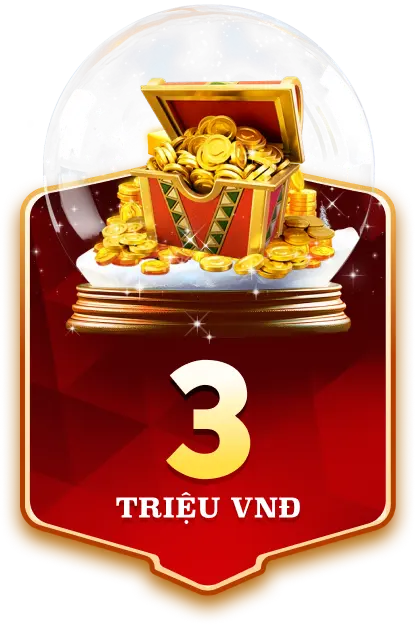 3 triệu đồng